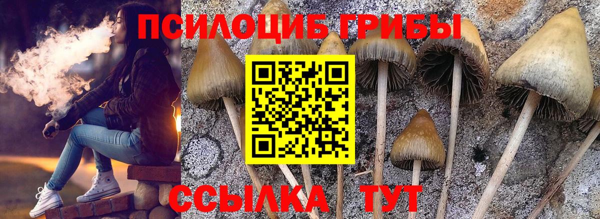 закладка  Вход с VPN  Кореновск  Псилоцибиновые грибы прущие грибы 