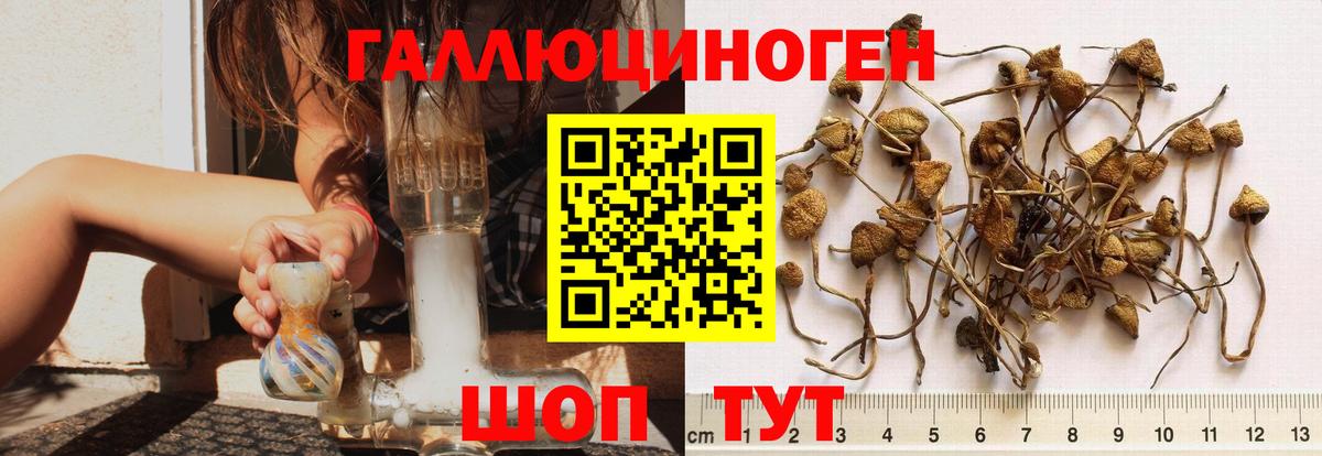 Галлюциногенные грибы ЛСД Кореновск